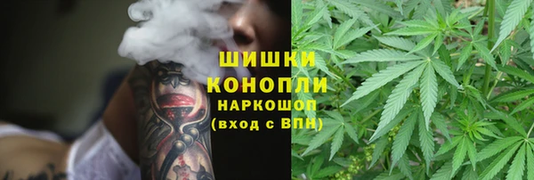 винт Белокуриха