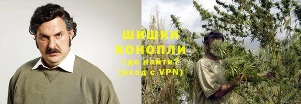 винт Белокуриха