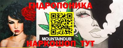 мдпв Краснознаменск