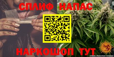 мдпв Краснознаменск