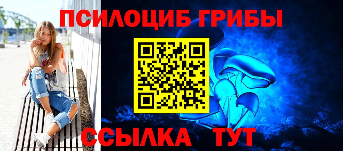 Псилоцибиновые грибы Cubensis  как найти наркотики  Ессентуки  Вход с VPN 