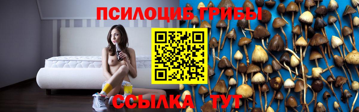Псилоцибиновые грибы мицелий Ессентуки